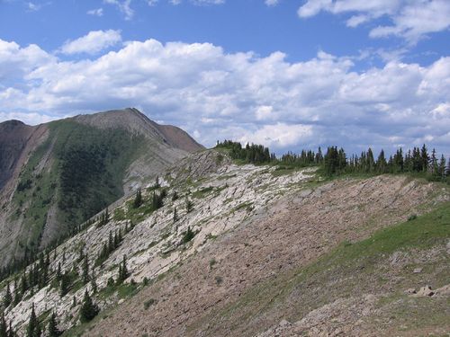 Binocular Ridge