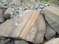 Petrified wood in rocks along the lake shore