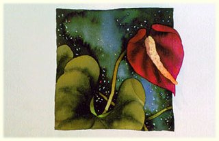 Little Discoverer
