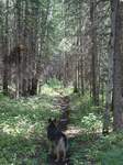 Heading up the lower part of the trail